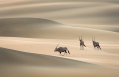 Serra Cafema Camp, Kaokoland, Namibia. Hotel Review by TravelPlusStyle. Photo © Wilderness Safaris