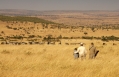 Cottars 1920s Camp Masai Mara, Kenya. Hotel Review by TravelPlusStyle. Photo © Cottar's Safaris