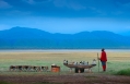 andBeyond Lake Manyara Tree Lodge, Tanzania. Hotel Review by TravelPlusStyle. Photo © &Beyond