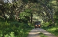 andBeyond Lake Manyara Tree Lodge, Tanzania. Hotel Review by TravelPlusStyle. Photo © &Beyond