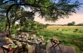 andBeyond Phinda Private Game Reserve, South Africa. Review by TravelPlusStyle. Photo © &Beyond 