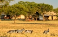 Singita Sabora Tented Camp - Grumeti Serengeti, Tanzania. Hotel Review by TravelPlusStyle. Photo © Singita