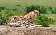 Masai Mara, Kenya © TravelPlusStyle.com