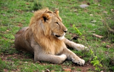 Masai Mara, Kenya © Travel+Style