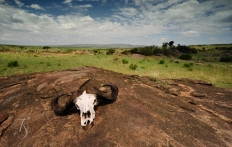 Masai Mara, Kenya © TravelPlusStyle.com