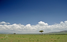 Masai Mara. © TravelPlusStyle.com