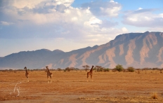 Great Rift Valley, Kenya © Travel+Style