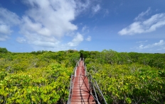 The Majlis, Manda Island, Kenya © Travel+Style