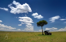 Masai Mara, Kenya © TravelPlusStyle.com