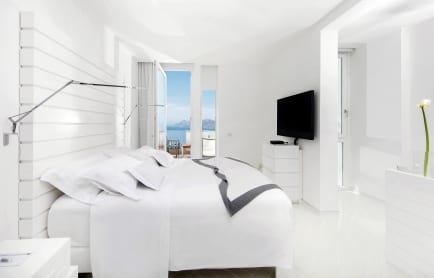 92531889-h1-bm3a9250