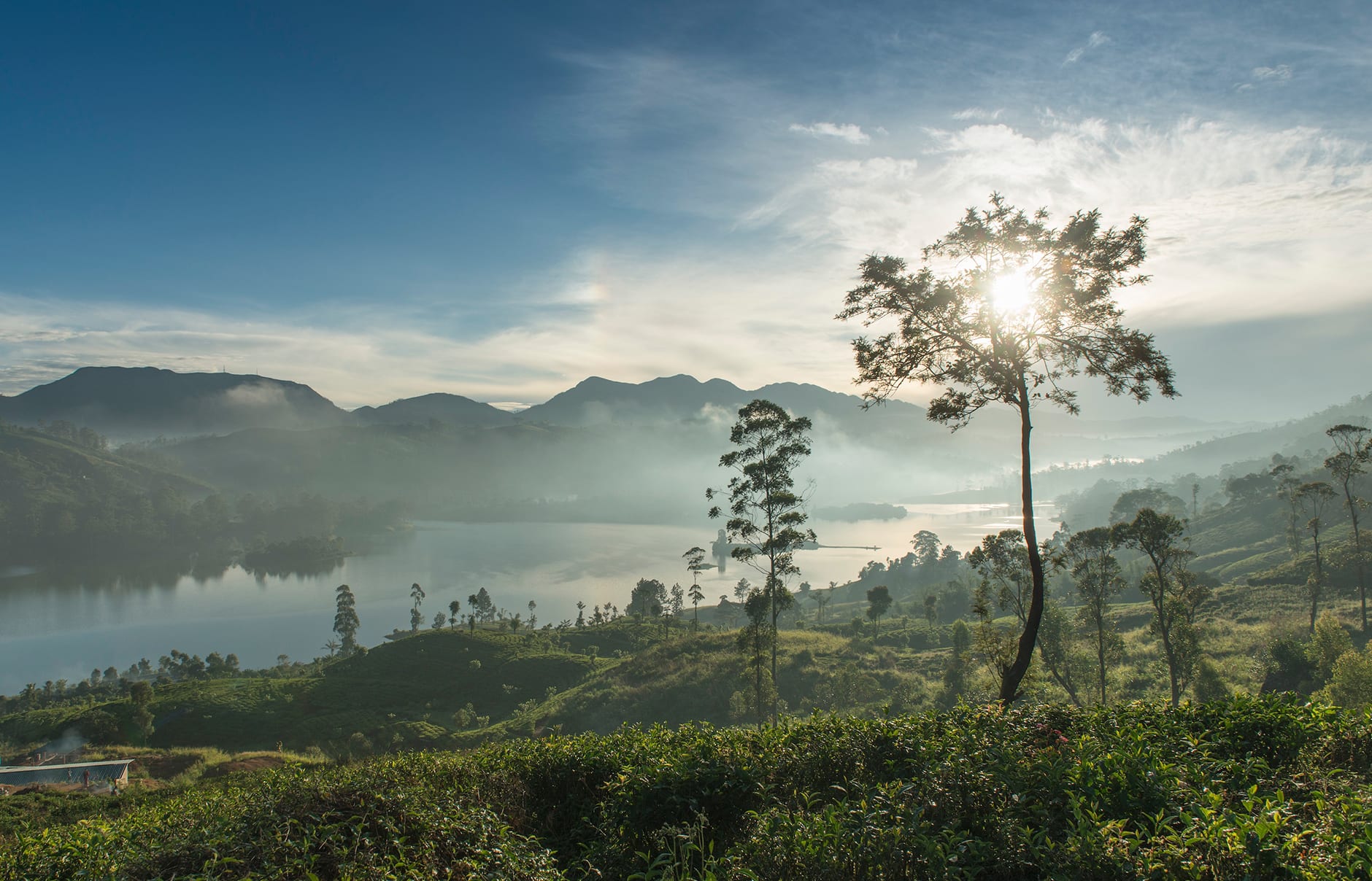 Ceylon Tea Trails, Sri Lanka. Hotel Review by TravelPlusStyle. Photo © Resplendent Ceylon