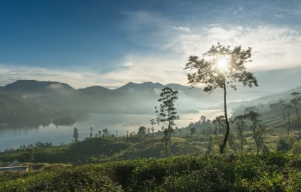 Tea Trails Sri Lanka 2014
