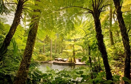 44164764-h1-kedara_water_garden_2