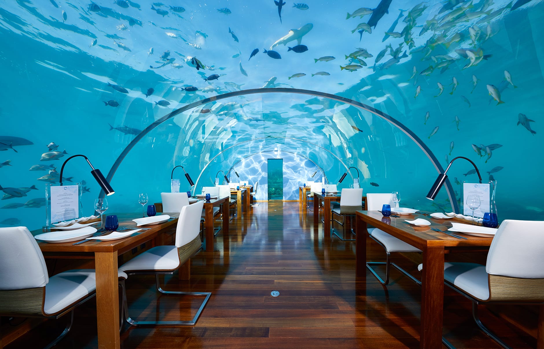 Conrad Maldives Rangali Island, Maldives. Luxury Hotel Review by TravelPlusStyle. Photo © Hilton