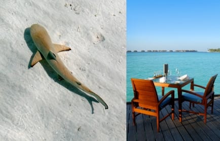 Conrad Maldives Rangali Island. © Travel+Style