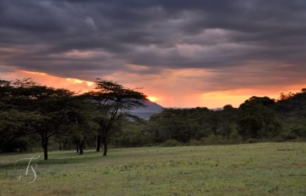 Cottar's 1920s Safari Camp, Masai Mara, Kenya