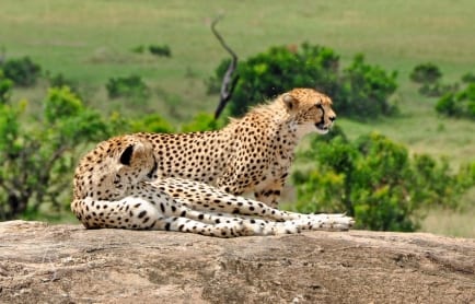 Cottar's 1920s Safari Camp, Masai Mara, Kenya