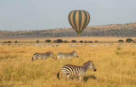 1752847377116_safari-balloon-east-africa-camps