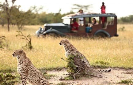 cottars_-_game_drive_5