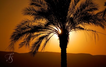 Hilton Luxor Resort &amp; Spa