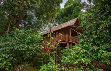 wa-ale-island-resort-treehouse