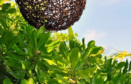 Huvafen Fushi, Maldives. © TravelPlusStyle.com