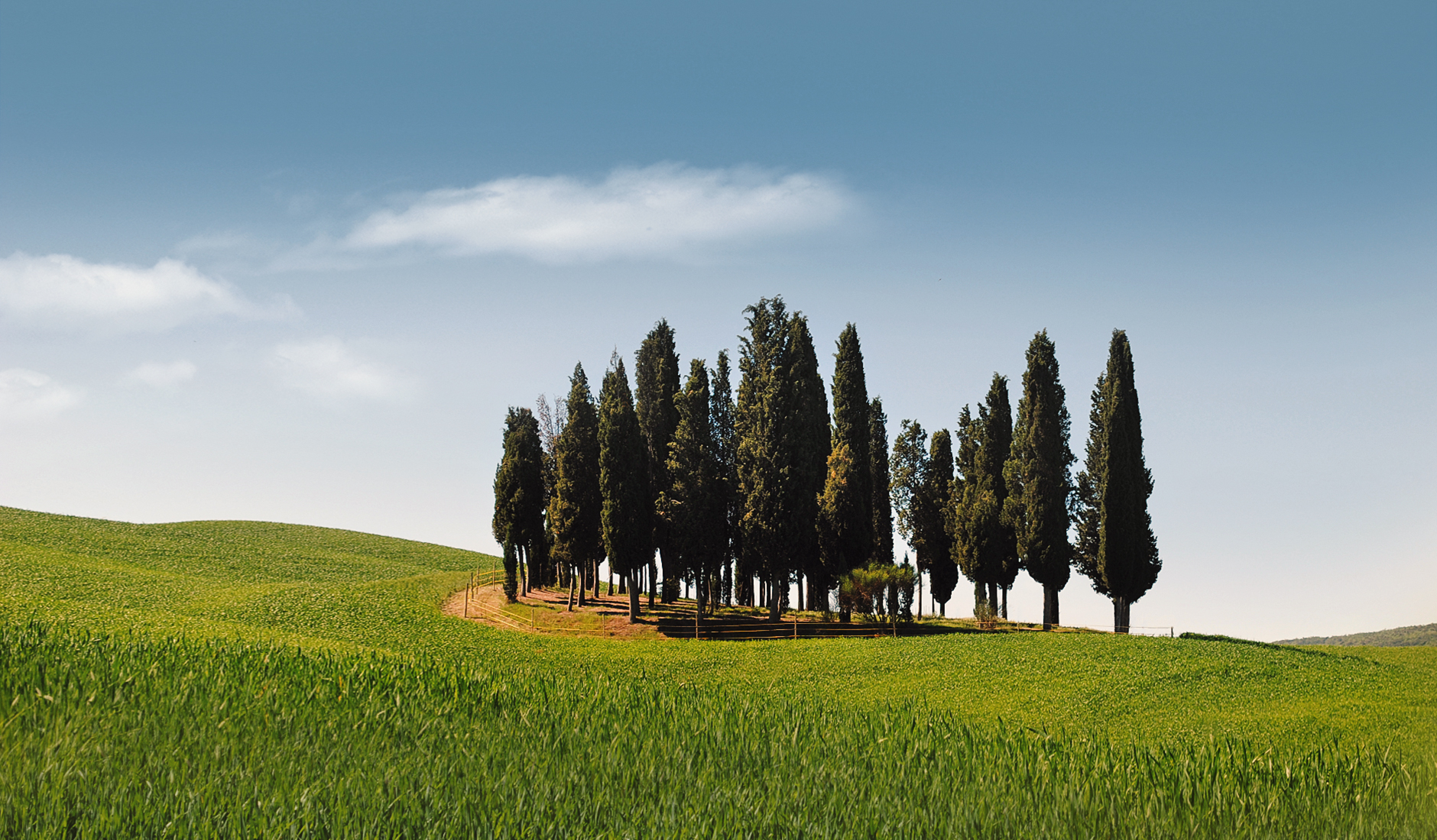 5 reasons to fall in love with Tuscany, Italy • Photo © TravelPlusStyle.com