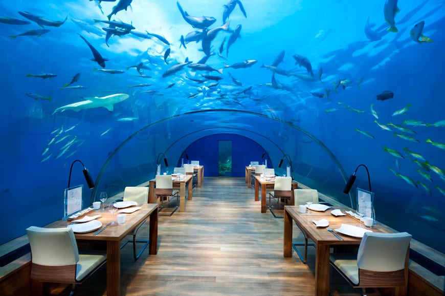 Ithaa Undersea Restaurant, Conrad Maldives Rangali Island