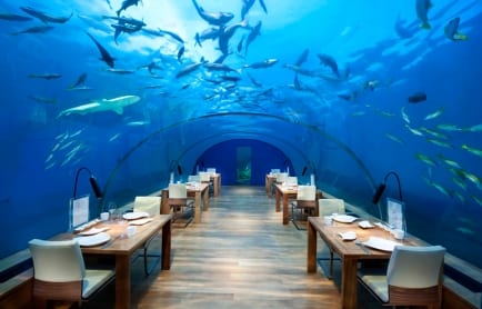 Ithaa Undersea Restaurant, Conrad Maldives Rangali Island