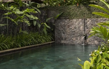 xkayumanis-ubud-private-villas-and-spa-mini-pool-jpg-pagespeed-ic_-6tjzrropai