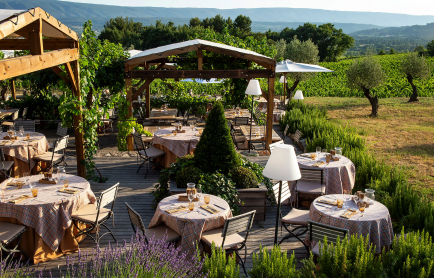 jardin-dans-les-vignes