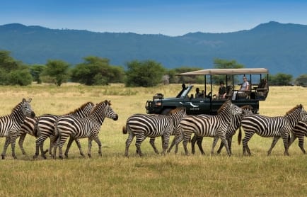 game-drive-andbeyond-lake-manyara-tree-lodge