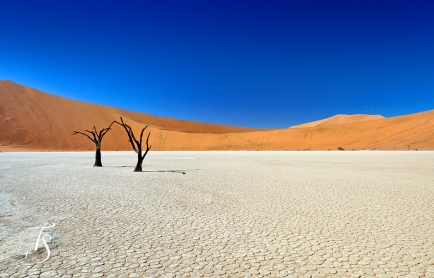 Little Kulala, Namibia. © TravelPlusStyle.com