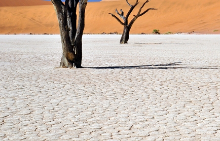 Little Kulala, Namibia. © TravelPlusStyle.com