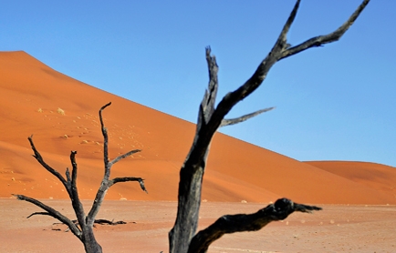 Little Kulala, Namibia. © TravelPlusStyle.com