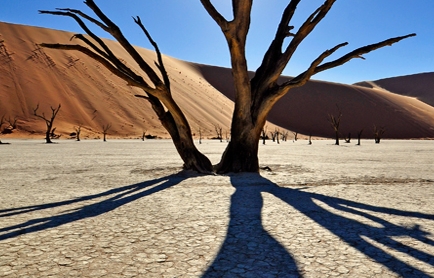 Little Kulala, Namibia. © TravelPlusStyle.com