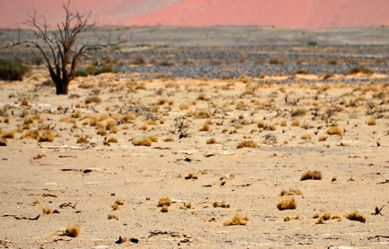 Little Kulala, Namibia. © TravelPlusStyle.com