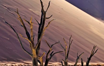 Little Kulala, Namibia. © TravelPlusStyle.com