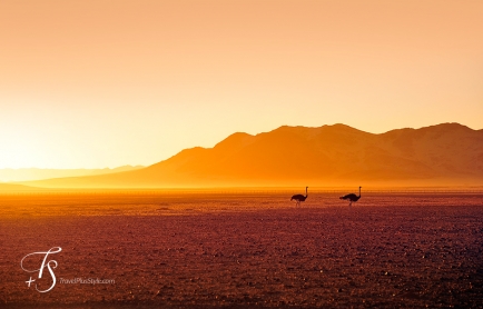 Little Kulala, Namibia. © TravelPlusStyle.com