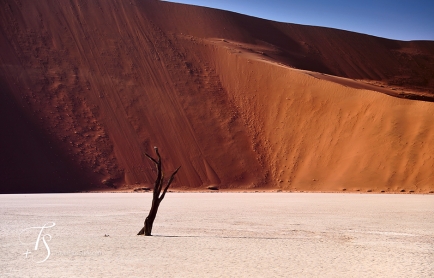 Little Kulala, Namibia. © TravelPlusStyle.com