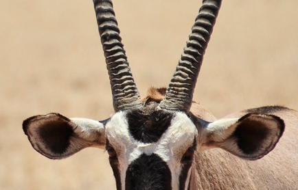 Little Kulala, Namibia. © TravelPlusStyle.com