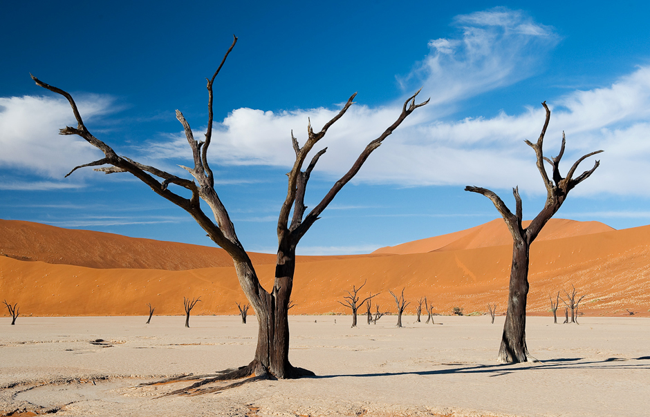 Dead Vlei, Little Kulala, Sossusvlei, Namibia. © Wilderness Safaris