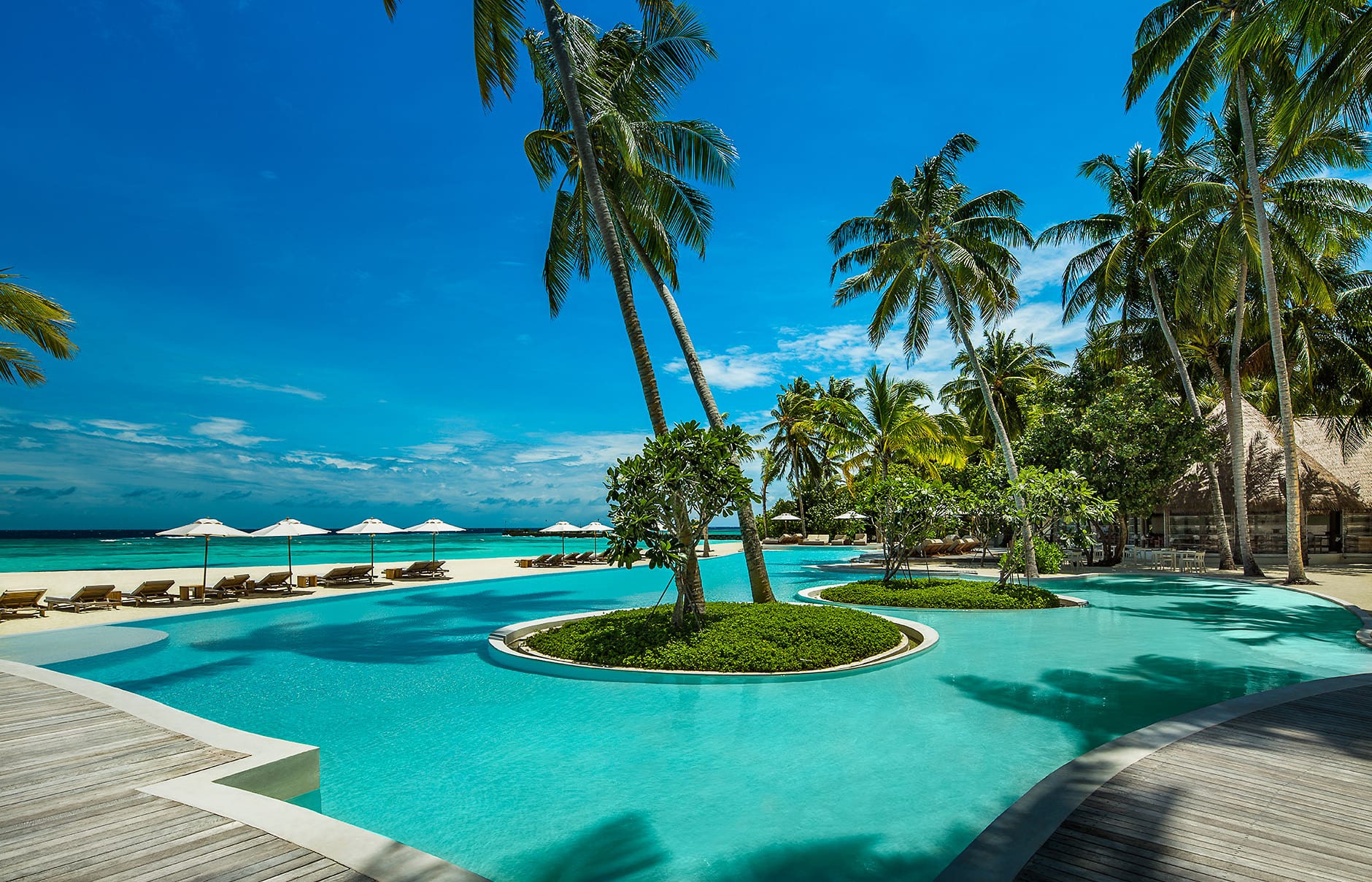 Swimming pool. COMO Maalifushi, Maldives. Hotel Review by TravelPlusStyle. Photo © COMO Hotels & Resorts