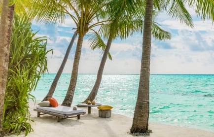 86109288-h1-lavadhoo