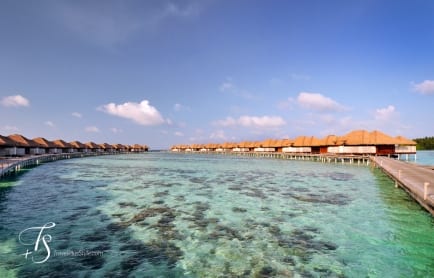 Maalifushi by Como, Maldives. © TravelPlusStyle.com