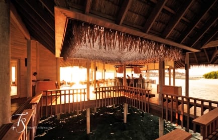 Maalifushi by Como, Maldives. © TravelPlusStyle.com