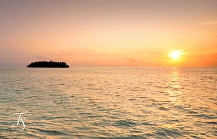 Maalifushi by Como, Maldives. © TravelPlusStyle.com