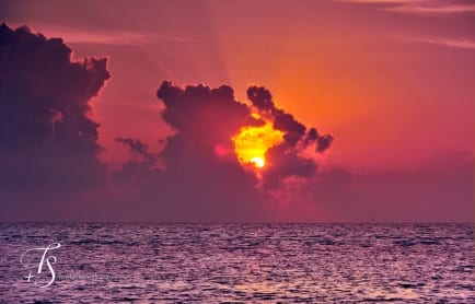 Maalifushi by Como, Maldives. © TravelPlusStyle.com