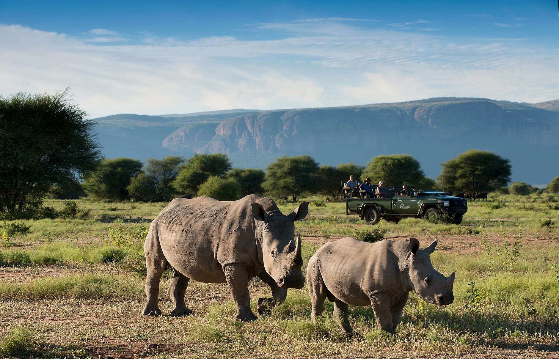 Marataba Safari Lodge, South Africa. Hotel Review by TravelPlusStyle. Photo © Marataba