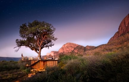 thabametsitreehouse-200408